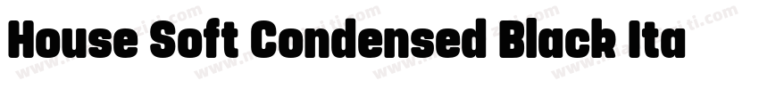House Soft Condensed Black Italic字体转换